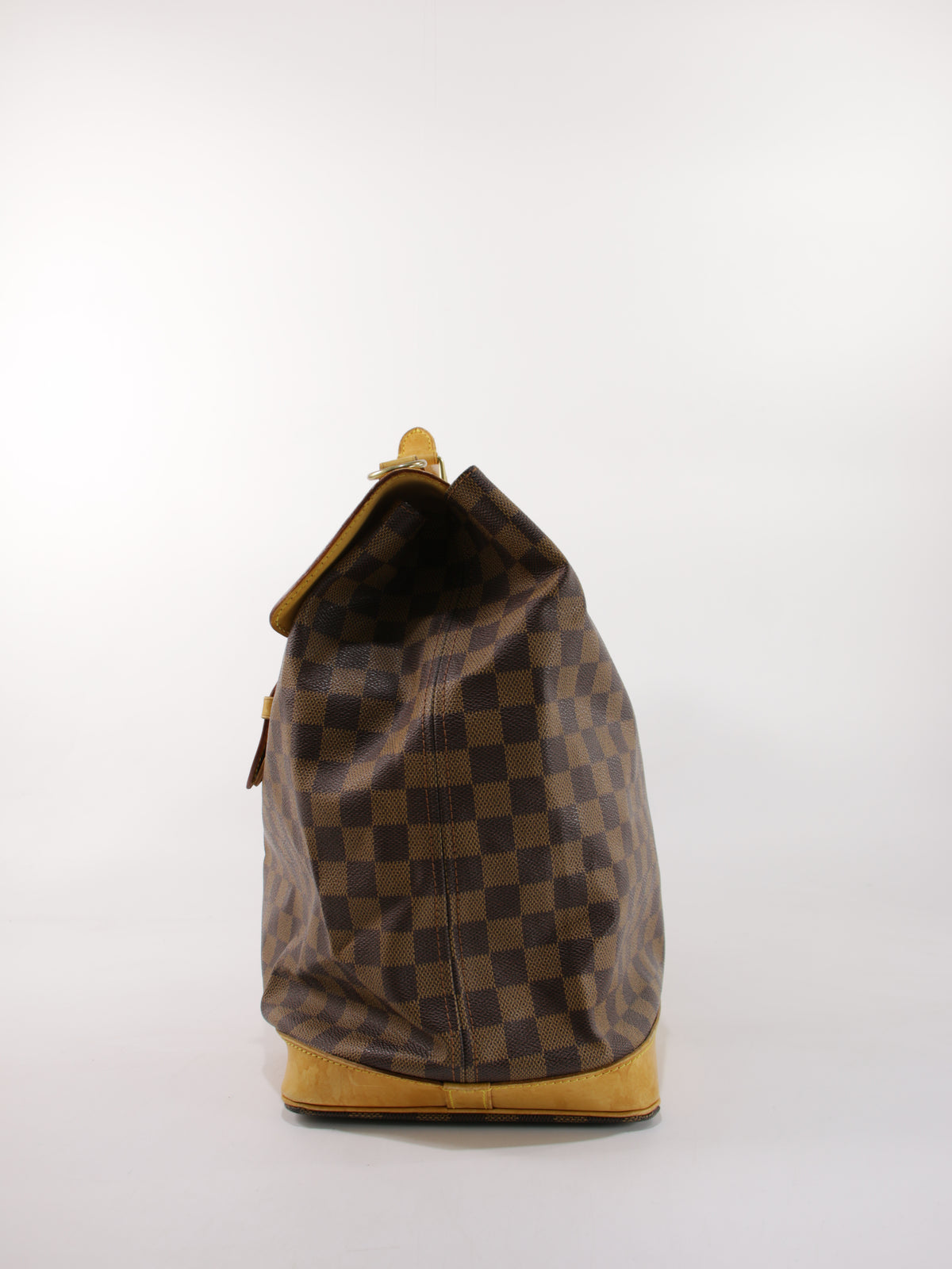 Louis Vuitton Hand Bag