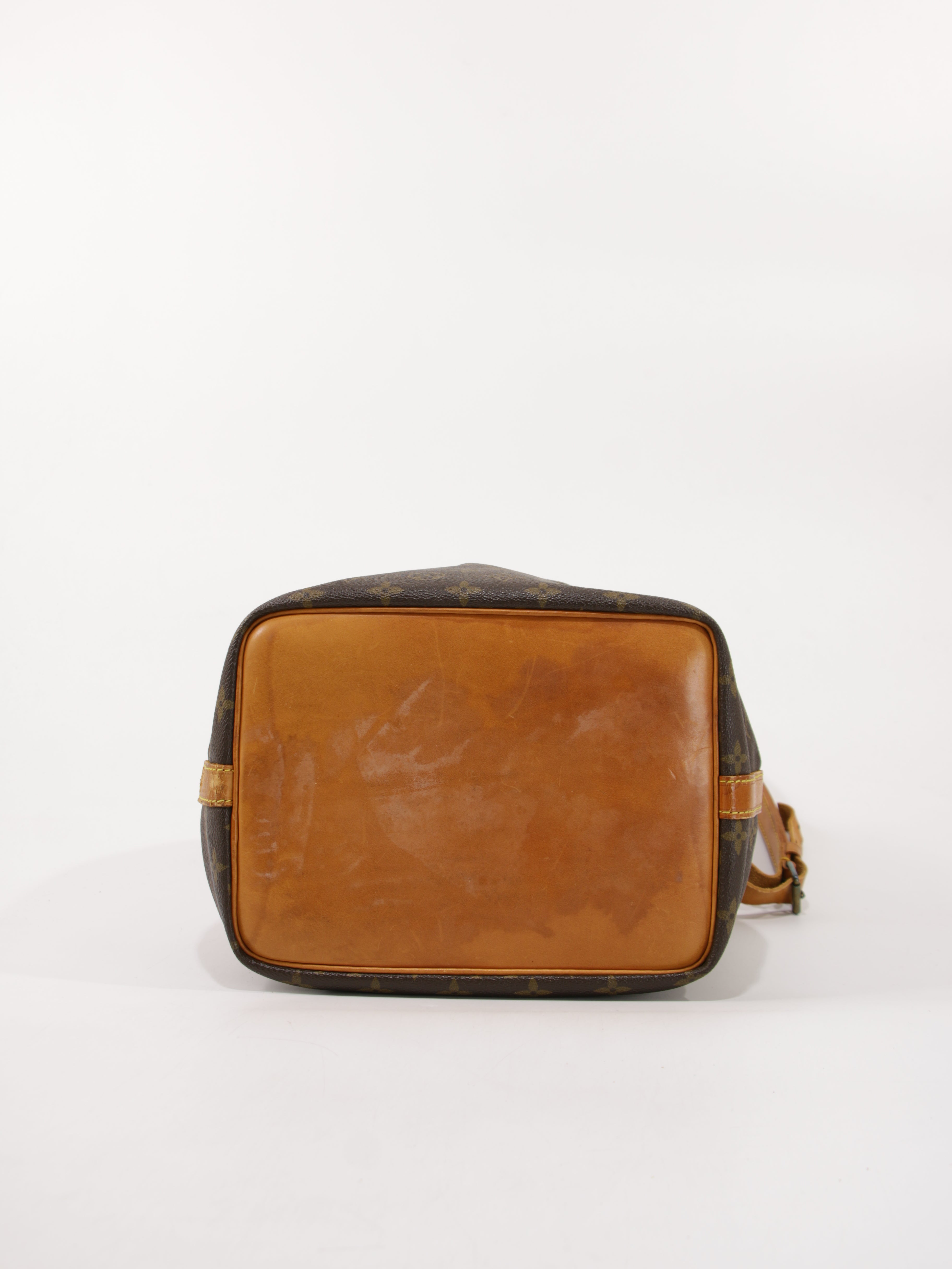 Petit Noé