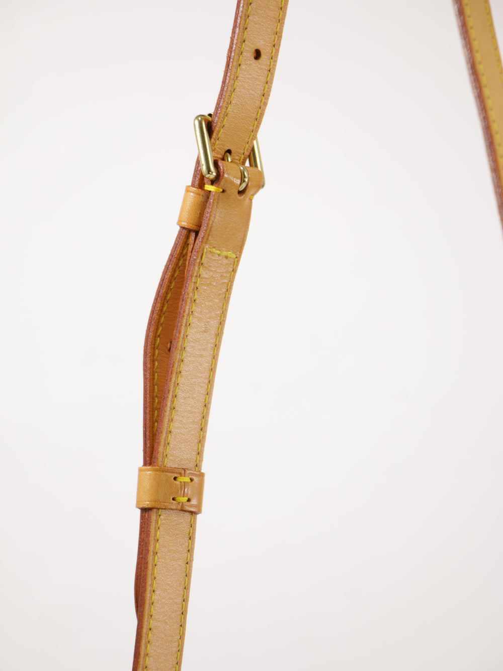 Musette Salsa