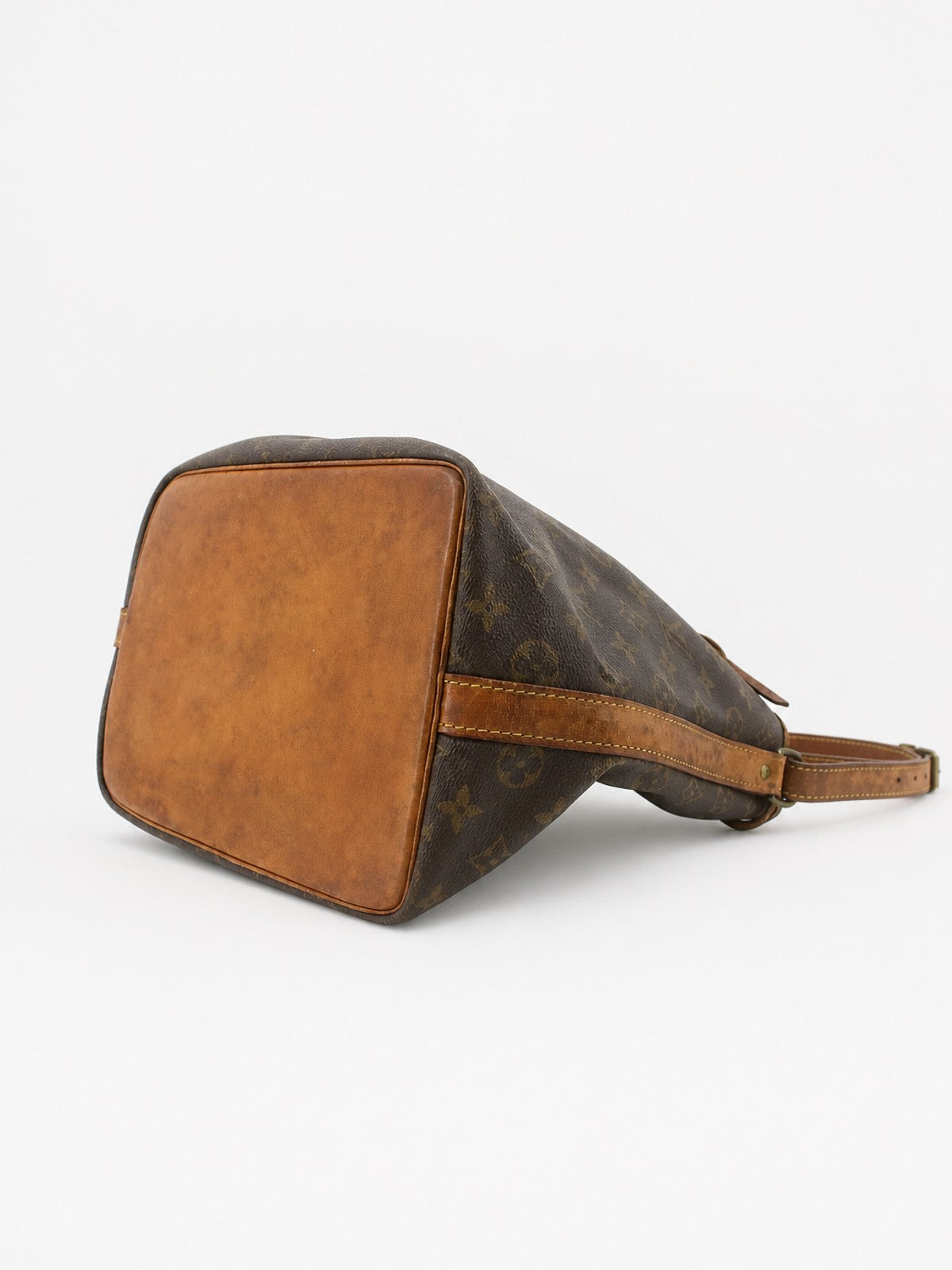 Petit Noé