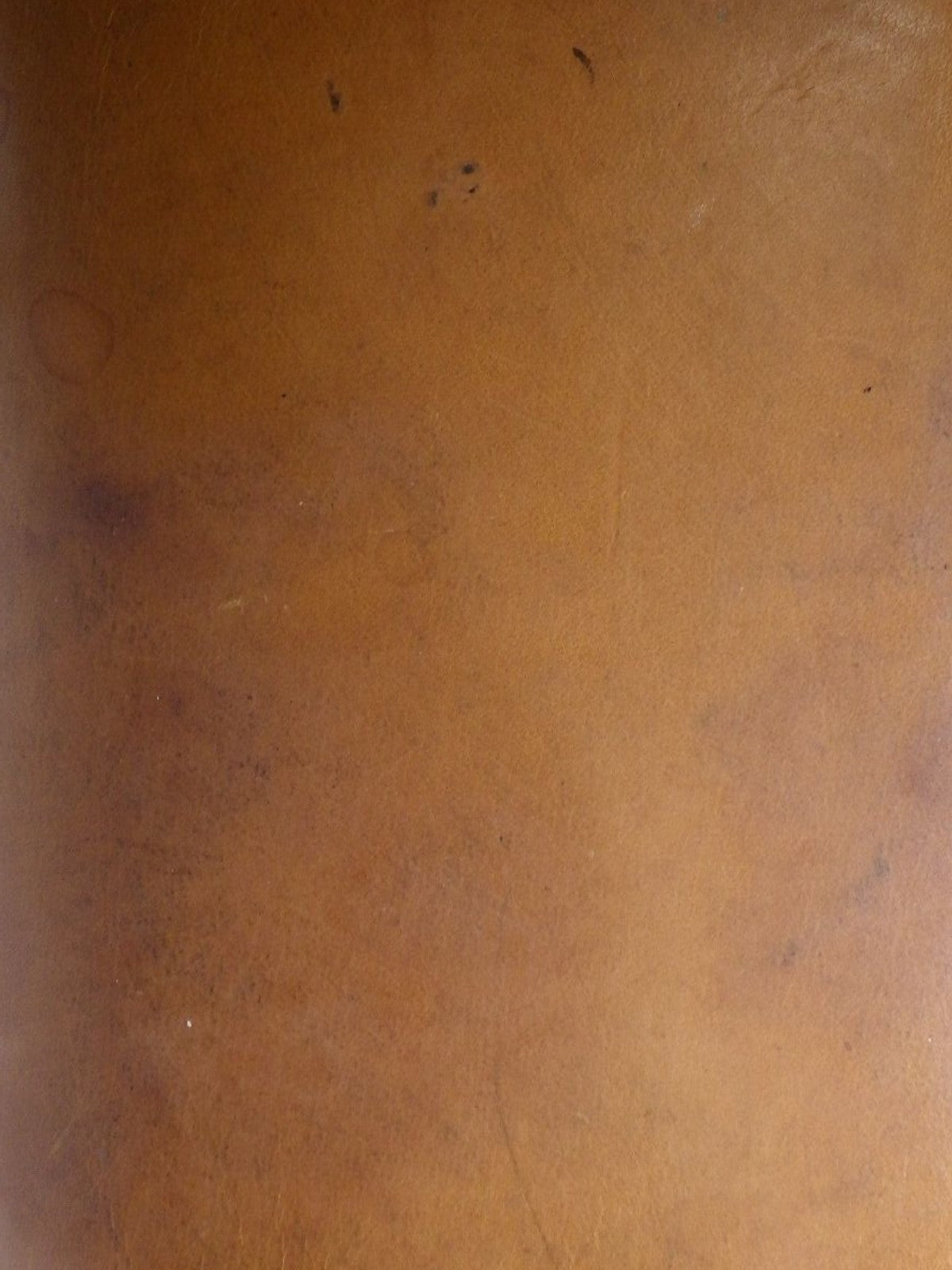 Petit Noé