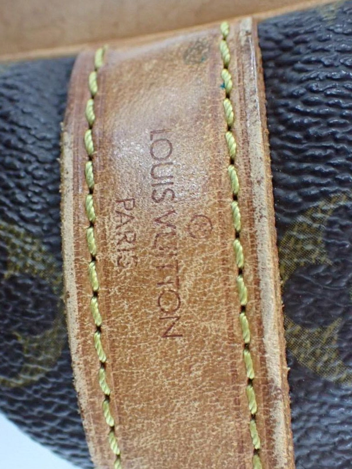 Petit Noé