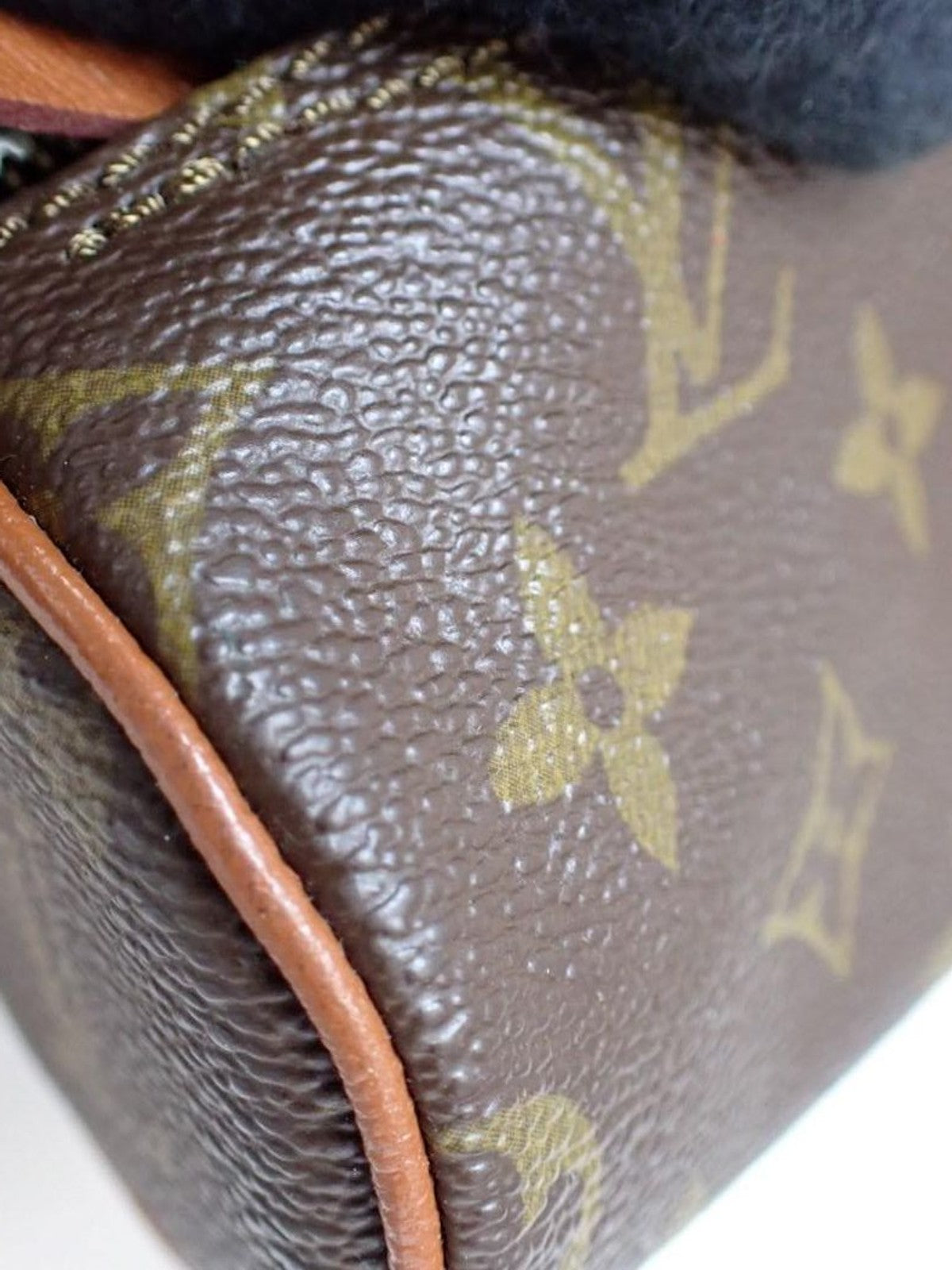 Mini Papillon