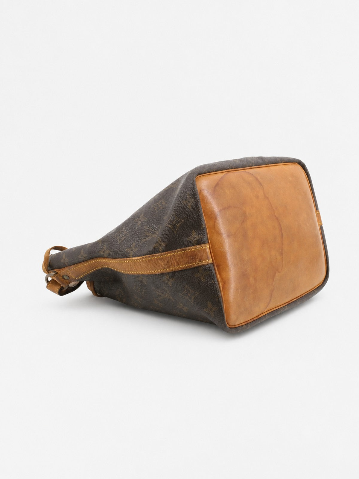 Petit Noé