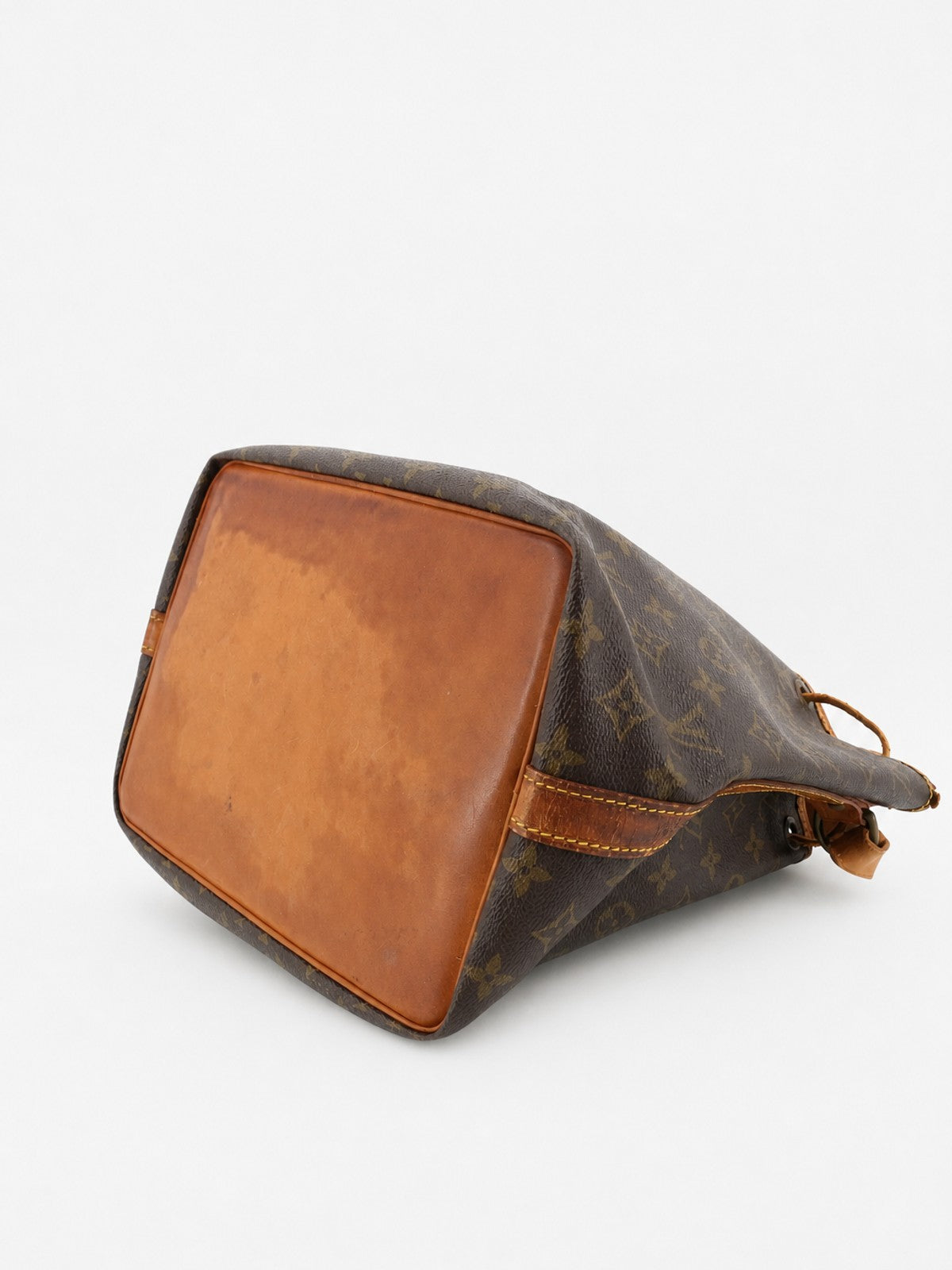 Petit Noé