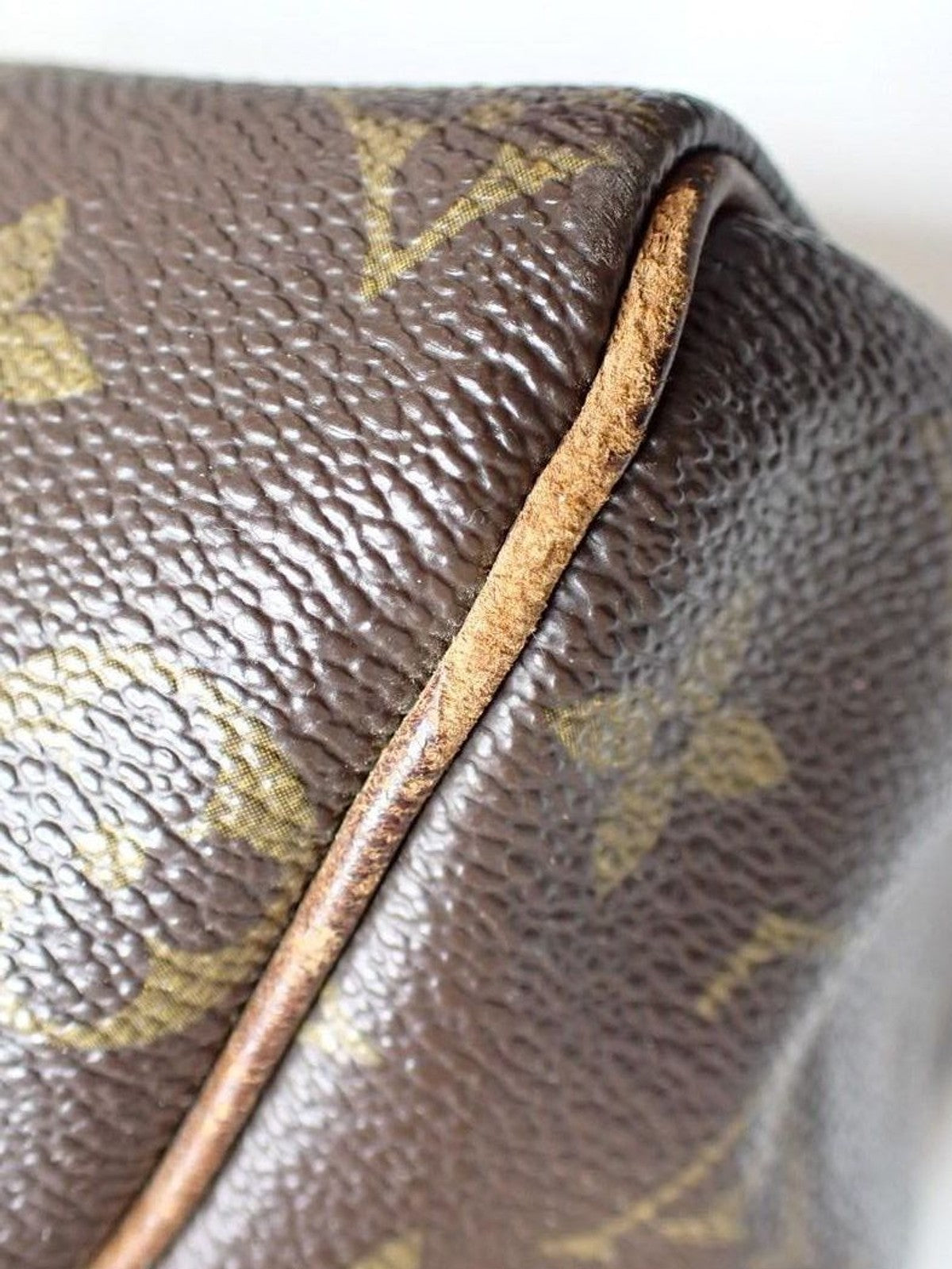 Louis Vuitton Speedy 25