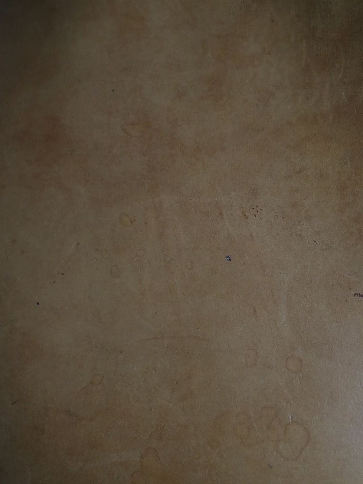 Louis Vuitton Petit Noé
