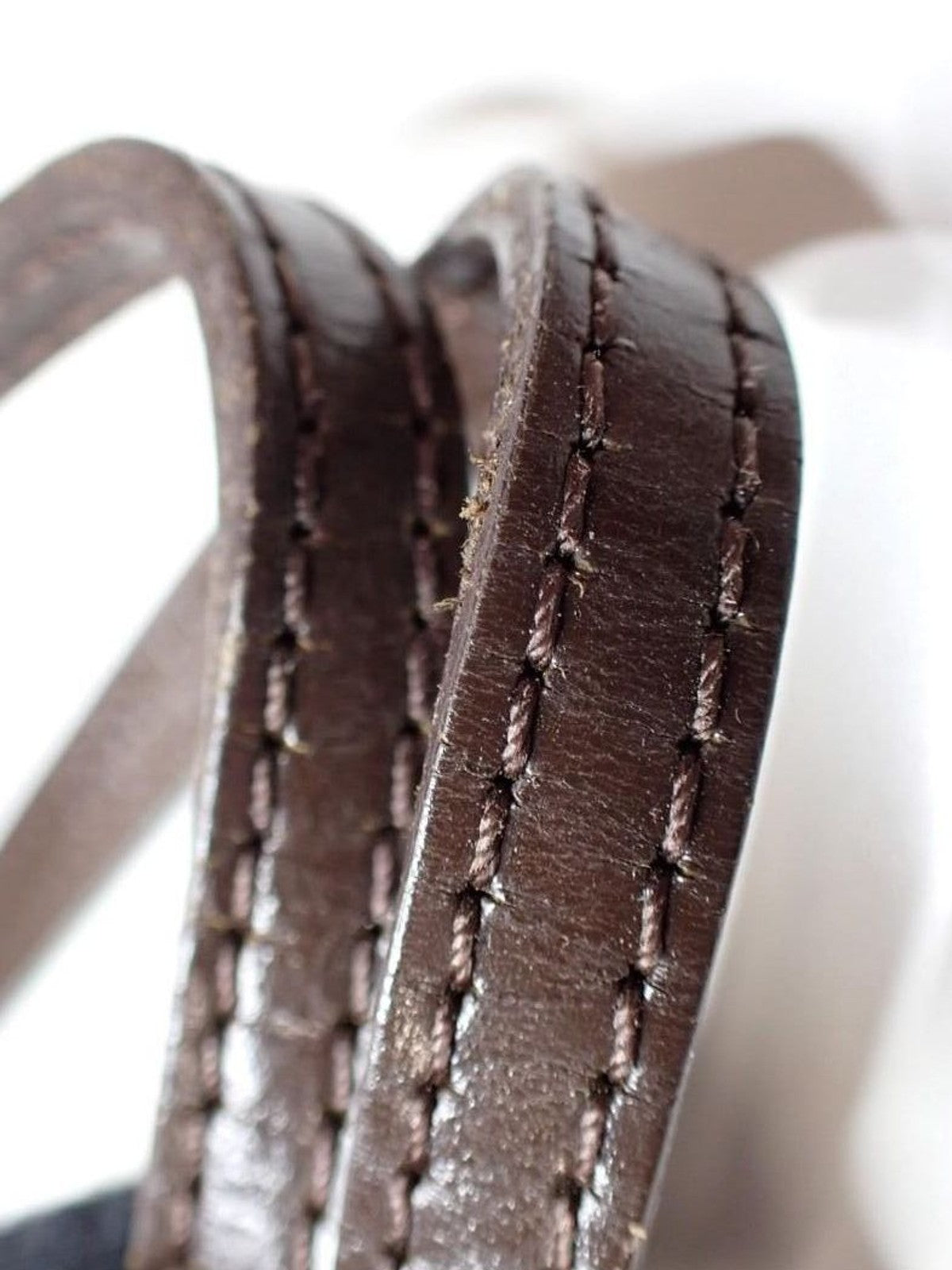 Louis Vuitton Neverfull PM