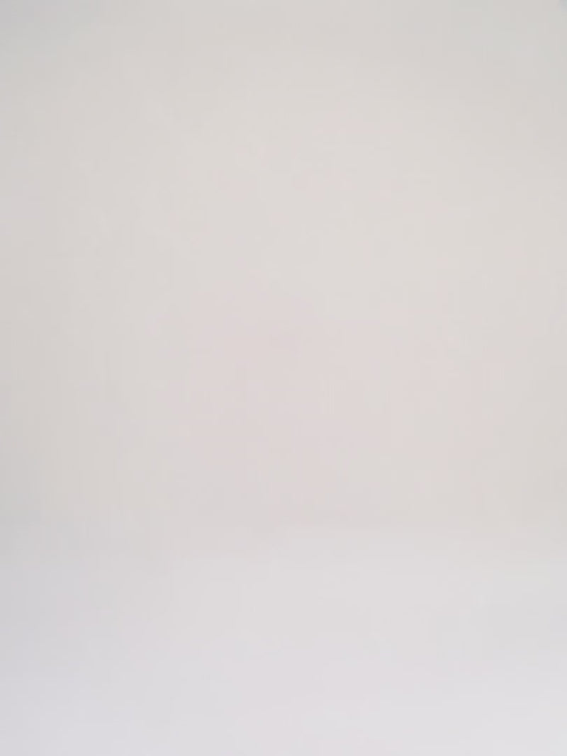 Louis Vuitton Neverfull PM Brown Canvas