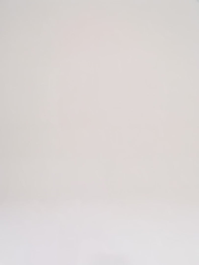 Celine Small Luggage White Leather
