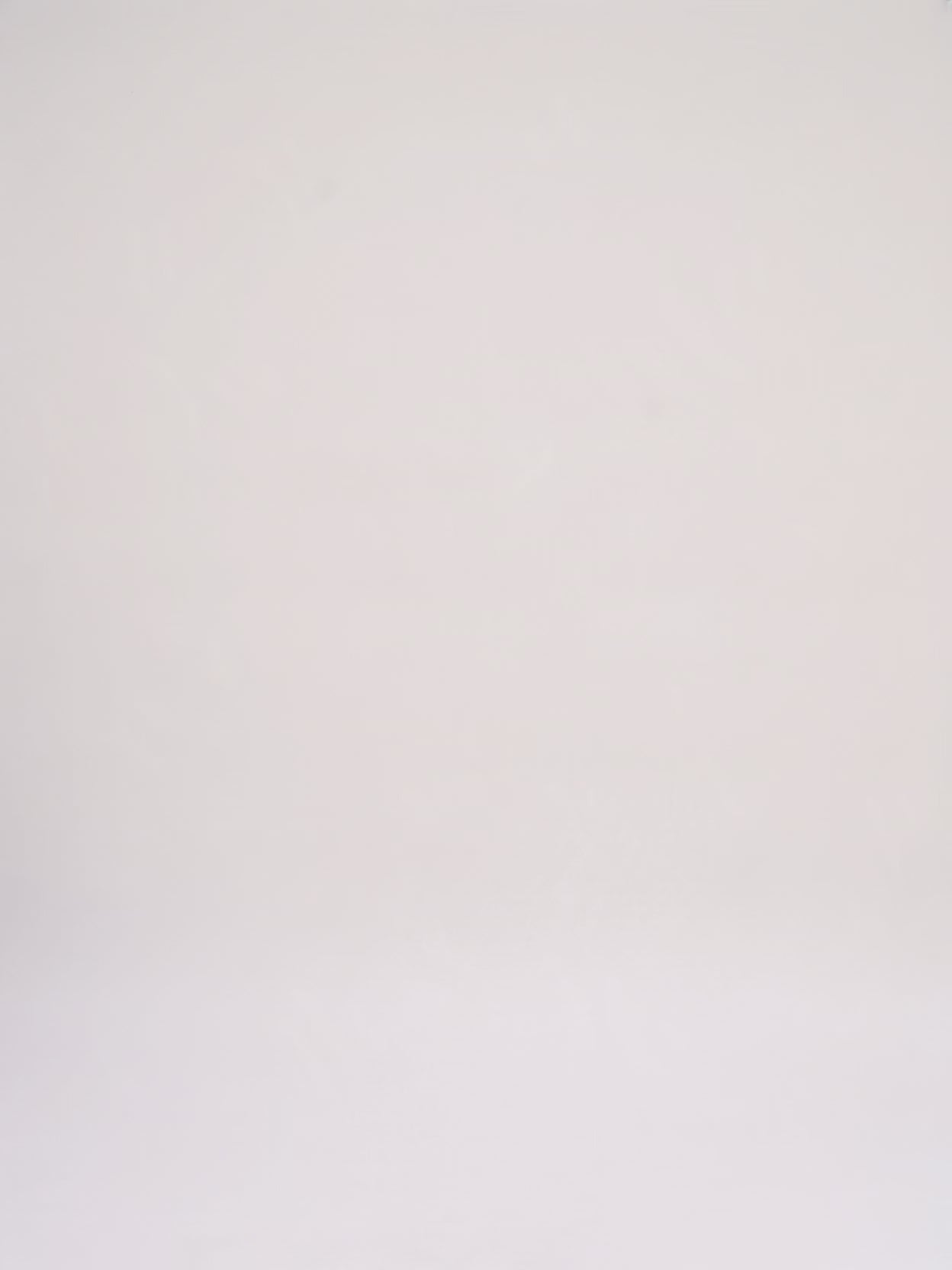 Ladda video: Louis Vuitton - Mini Bucket