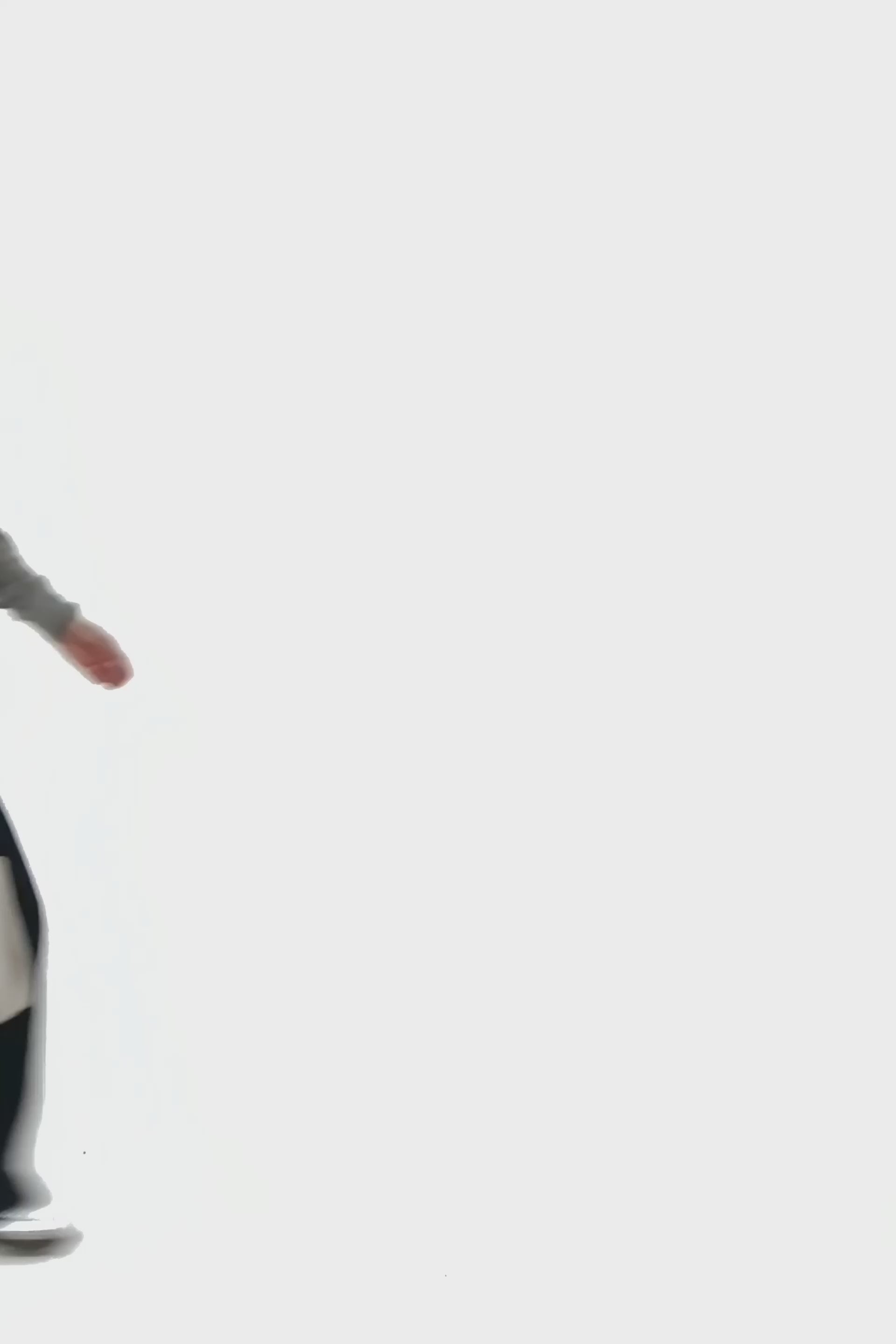 Ladda video: stylingimage