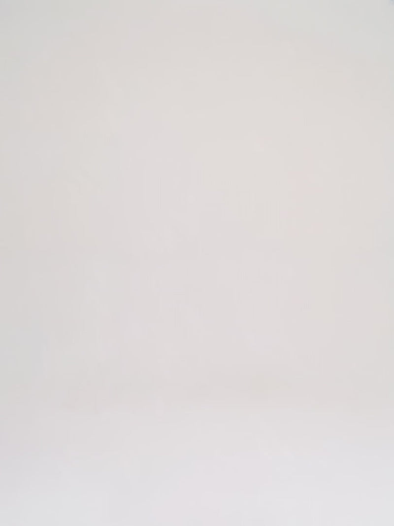 Louis Vuitton Speedy 40 Brown Canvas